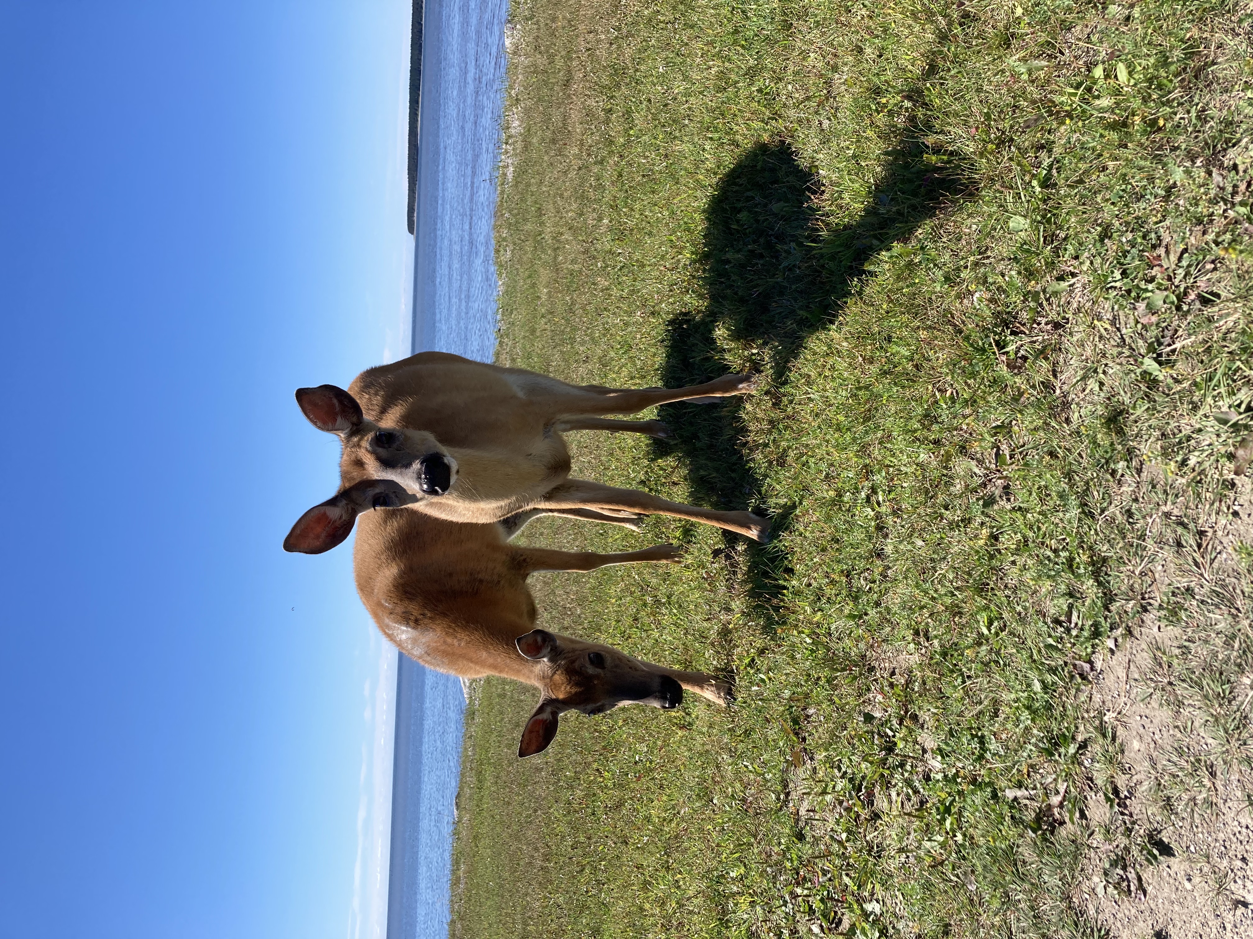 Photo Village de Port-Menier